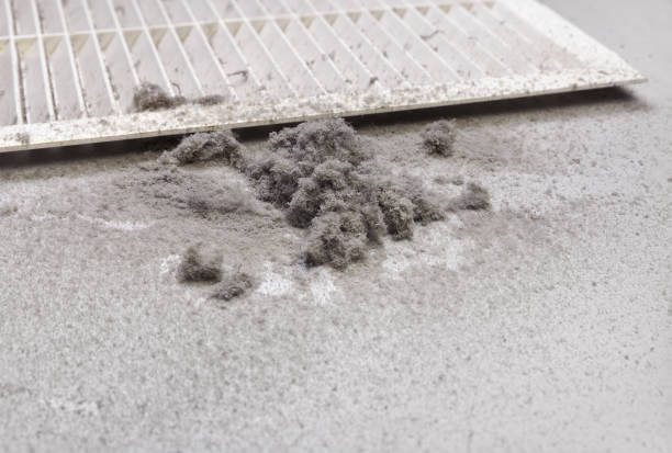 Best Commercial Air Duct Cleaning  in Cudahy, CA