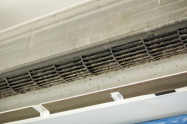 Best Affordable Duct Cleaning Services  in Cudahy, CA